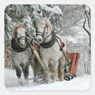 Sleigh Ride i Winter Wonderland Fyrkantigt Klistermärke