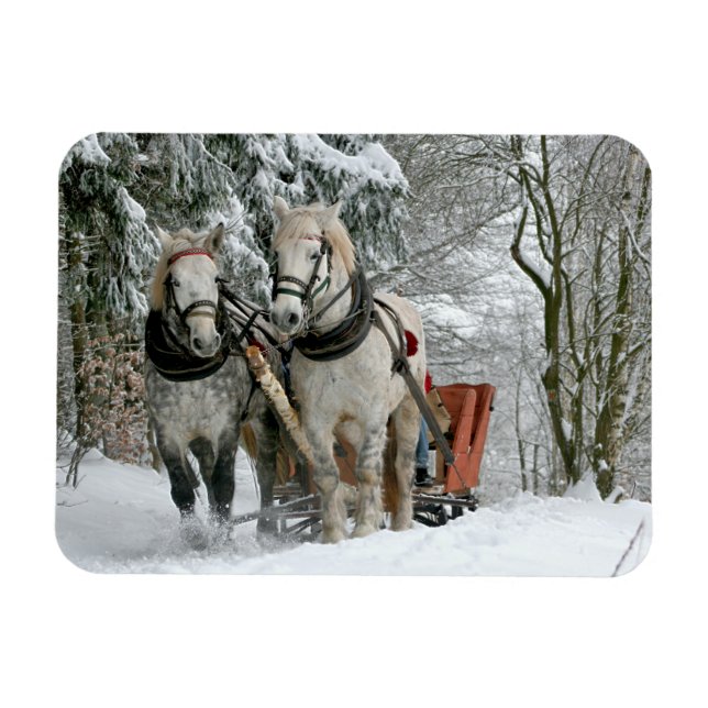 Sleigh Ride i Winter Wonderland Magnet (Horisontell)