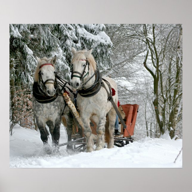 Sleigh Ride i Winter Wonderland Poster (Framsidan)