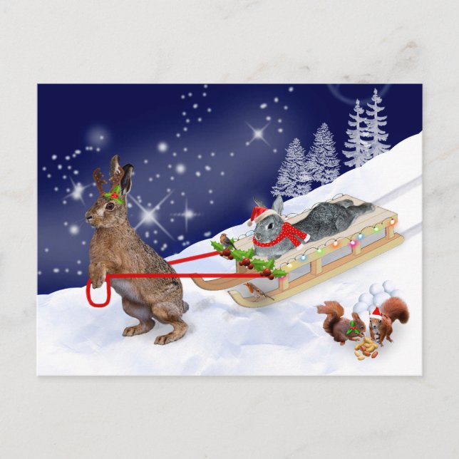 Sleigh Ride-vykort Vykort (Framsida)