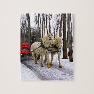 Sleighritt i snösamlingen pussel