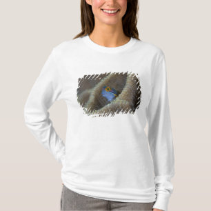 Slemfisk (Blenniidae) sticker ut huvudet T Shirt