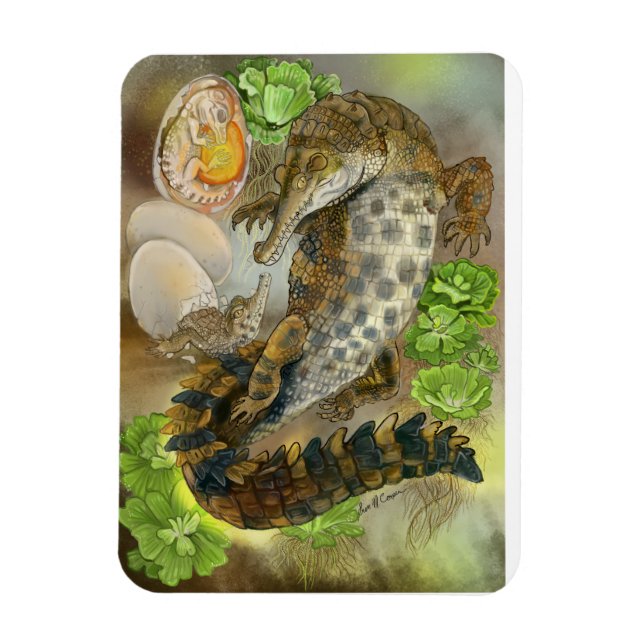 Slender Snouted Crokodile Magnet (Vertikal)