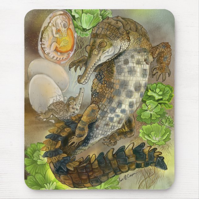 Slender Snouted Crokodile Musmatta (Framsidan)