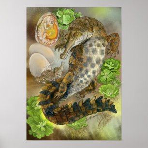 Slender Snouted Crokodile Poster
