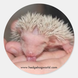 Slickande baby-klistermärke runt klistermärke