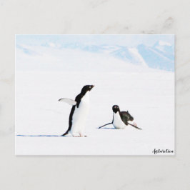 Sliding Adelie Penguin och Friend Vykort