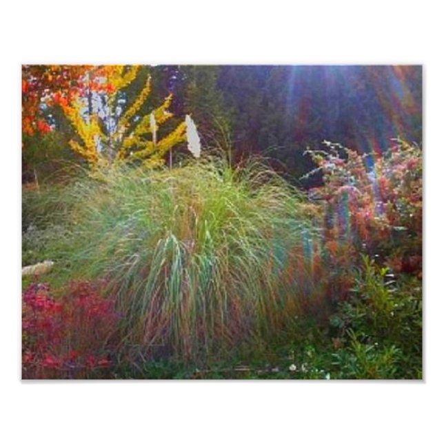 Slight Sol Rays Fototryck (Framsidan)