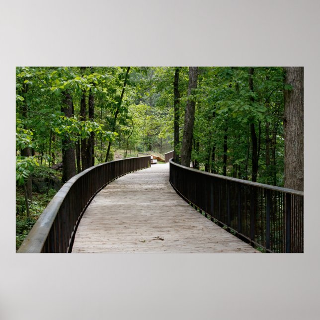 Slightly Curved Poster (Framsidan)