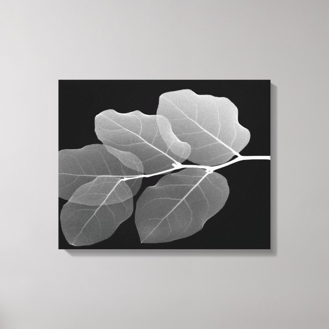 Slim inramad sträckt canvastryck - XRay New Buds (Framsida)