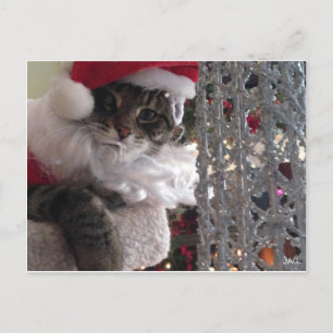 Slim Kattunge Santa & Glitter Träd Helg Vykort