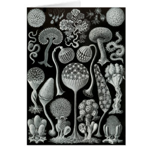 Slime gjuter hälsningskort