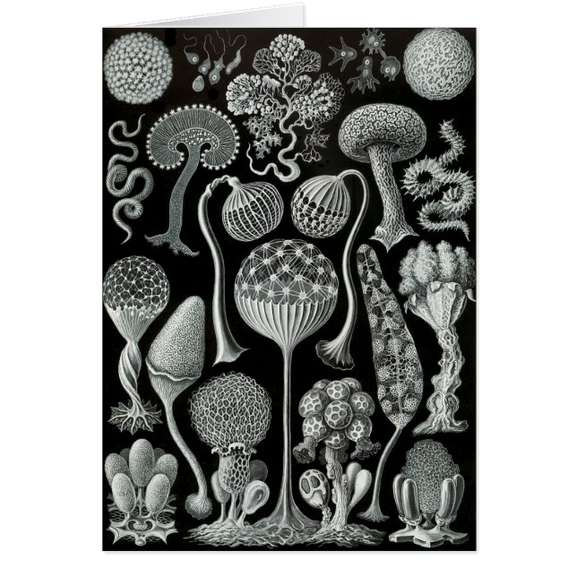 Slime gjuter hälsningskort (Framsidan)