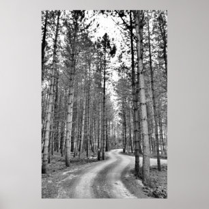 Slingrig väg poster