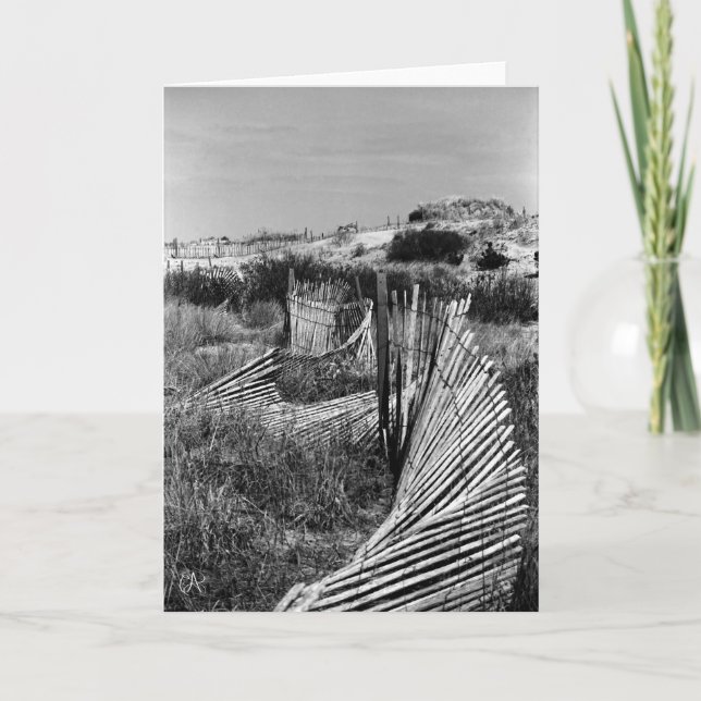 Slingrigt dynstaket kort (Framsida)