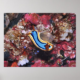 Slink Nudigren Poster