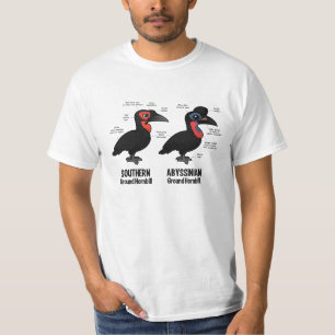 Slipad Hornbil statistik Tee