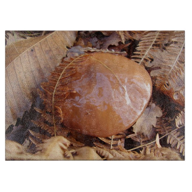 Slippery Jack Mushroom Glass Choppboard (Framsidan)
