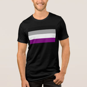 SlipperyJoes aseksualitetsstolthetsflagga betonar  T Shirt