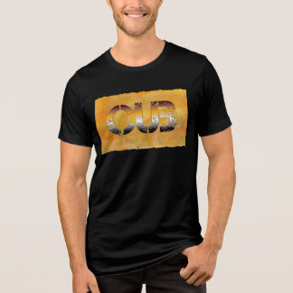 SlipperyJoes björnunge kulturellt rotad HBTQIA T Shirt