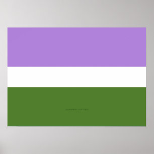 SlipperyJoe's Genderqueer Pride Flagga färg non-bi Poster