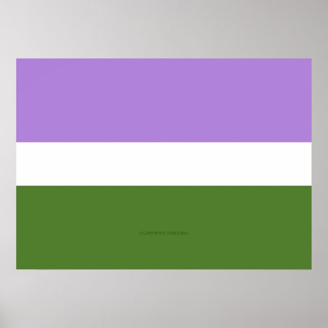 SlipperyJoe's Genderqueer Pride Flagga färg non-bi Poster (Framsidan)