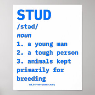 Slipperyjoes Hingst Definition Djur Ordbok B  Poster