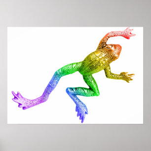 SlipperyJoe's Pride Frog animal crawling rainbow Poster