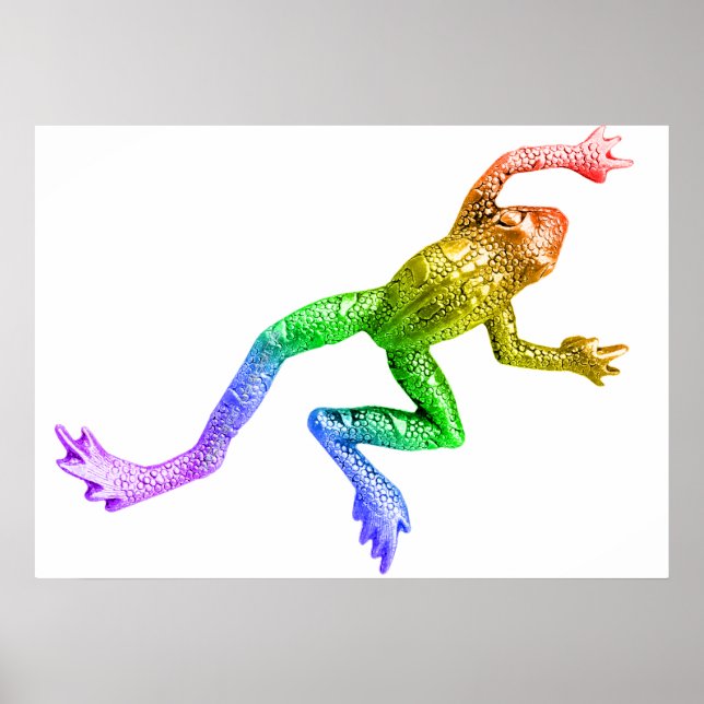SlipperyJoe's Pride Frog animal crawling rainbow Poster (Framsidan)