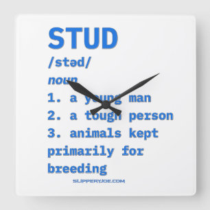 SlipperyJoe's stud definition djur ordlista b Fyrkantig Klocka