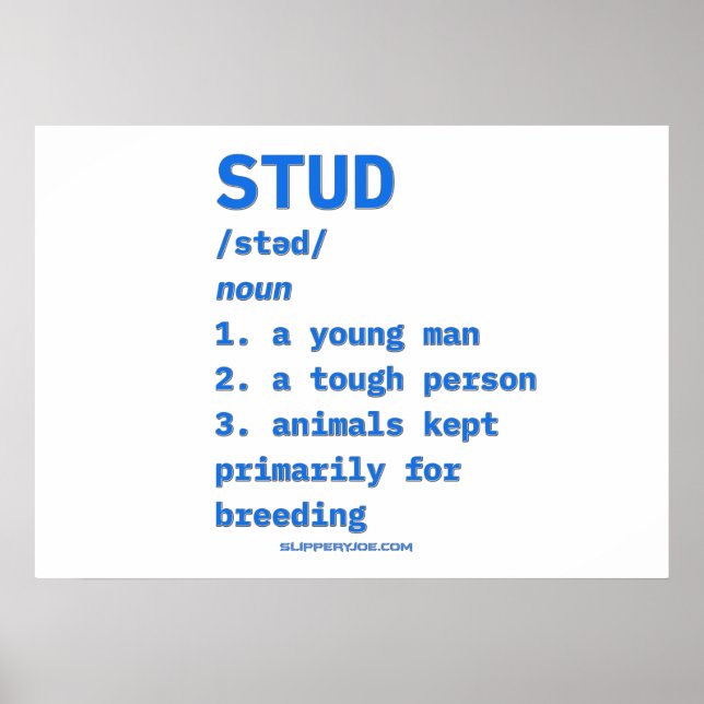SlipperyJoe's stud definition djur ordlista b Poster (Framsidan)