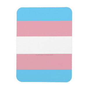 SlipperyJoe's transgender pride diversity rigg. Magnet
