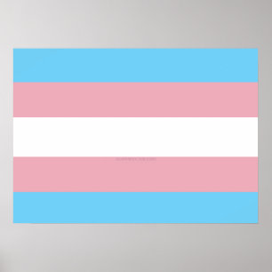 SlipperyJoe's transgender pride diversity rigg. Poster