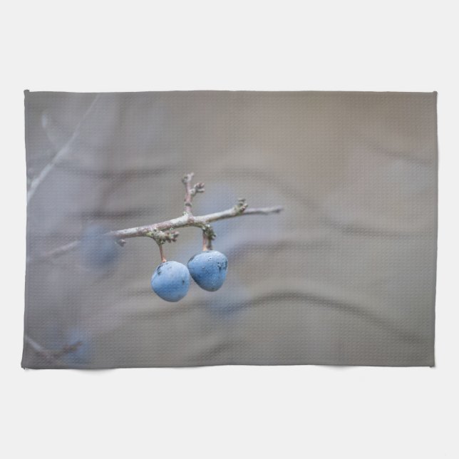 Sloe Berries Nature Photo Kökshandduk (Horisontell)