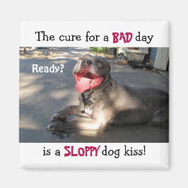 Sloppy Hund Kiss Magnet