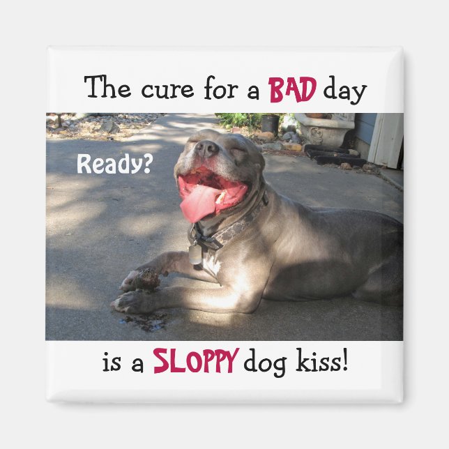 Sloppy Hund Kiss Magnet (Framsidan)