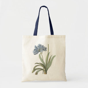 slösa den afrikanska liljan (Agapanthus) vid Tygkasse