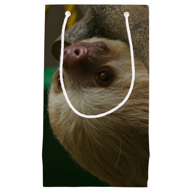 Sloth (Framsidan)