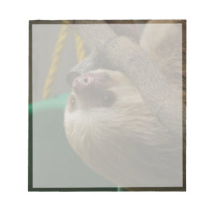 Sloth Anteckningsblock