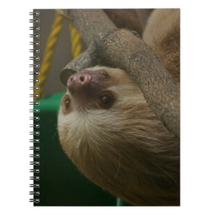 Sloth Anteckningsbok