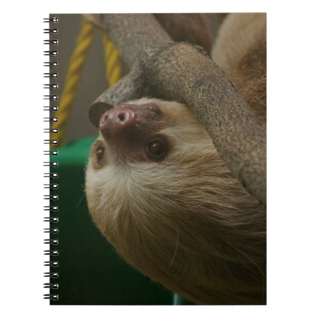 Sloth Anteckningsbok (Framsidan)
