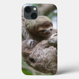 Sloth Baby med Mor Hanging från Träd