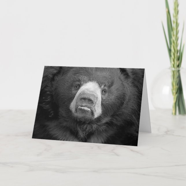 Sloth Bear #1-hälsningskort Kort (Framsida)
