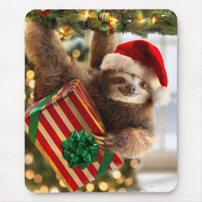Sloth Bearing Gifts Musmatta (Framsidan)