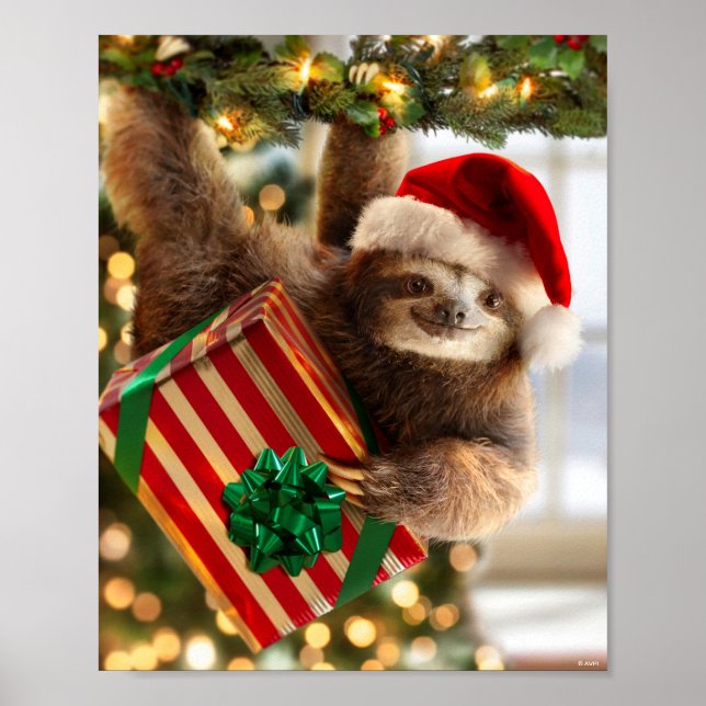 Sloth Bearing Gifts Poster (Framsidan)