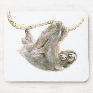 Sloth bebis med morsan "stora kramar ", musmatta