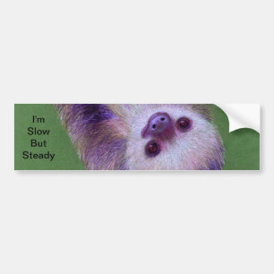 Sloth Bildekal