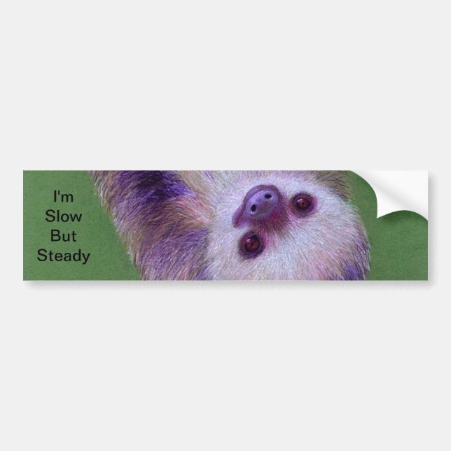 Sloth Bildekal (Framsidan)