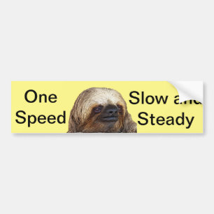 Sloth Bildekal