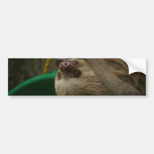 Sloth Bildekal